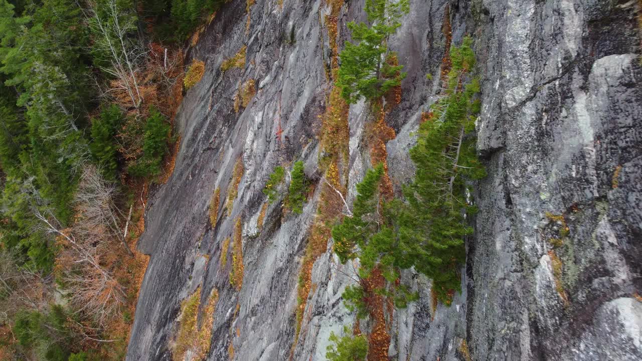 秋天的风景，岩石纹理与苔藓在华盛顿山悬崖上，新罕布什尔州，美国视频素材