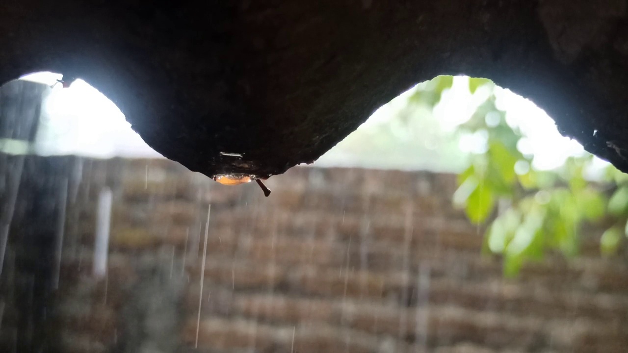 多雨的视频素材