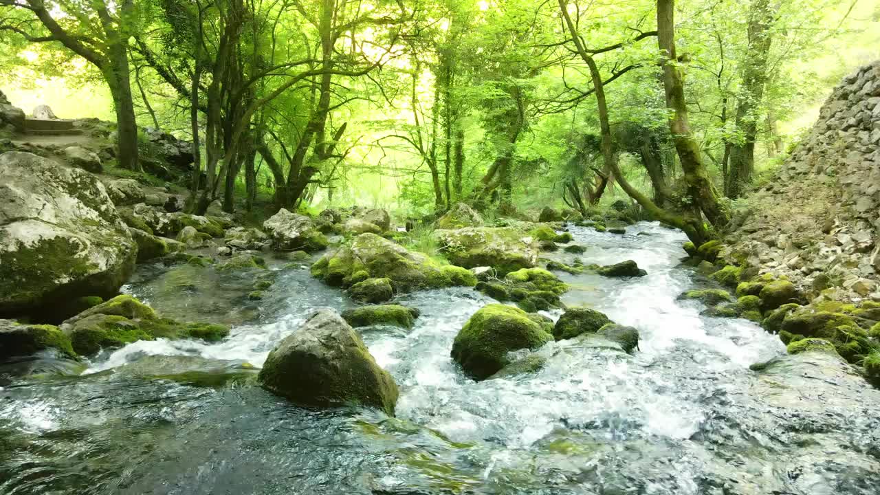 一条宁静的小溪穿过树林，小瀑布从长满苔藓的岩石上落下视频素材