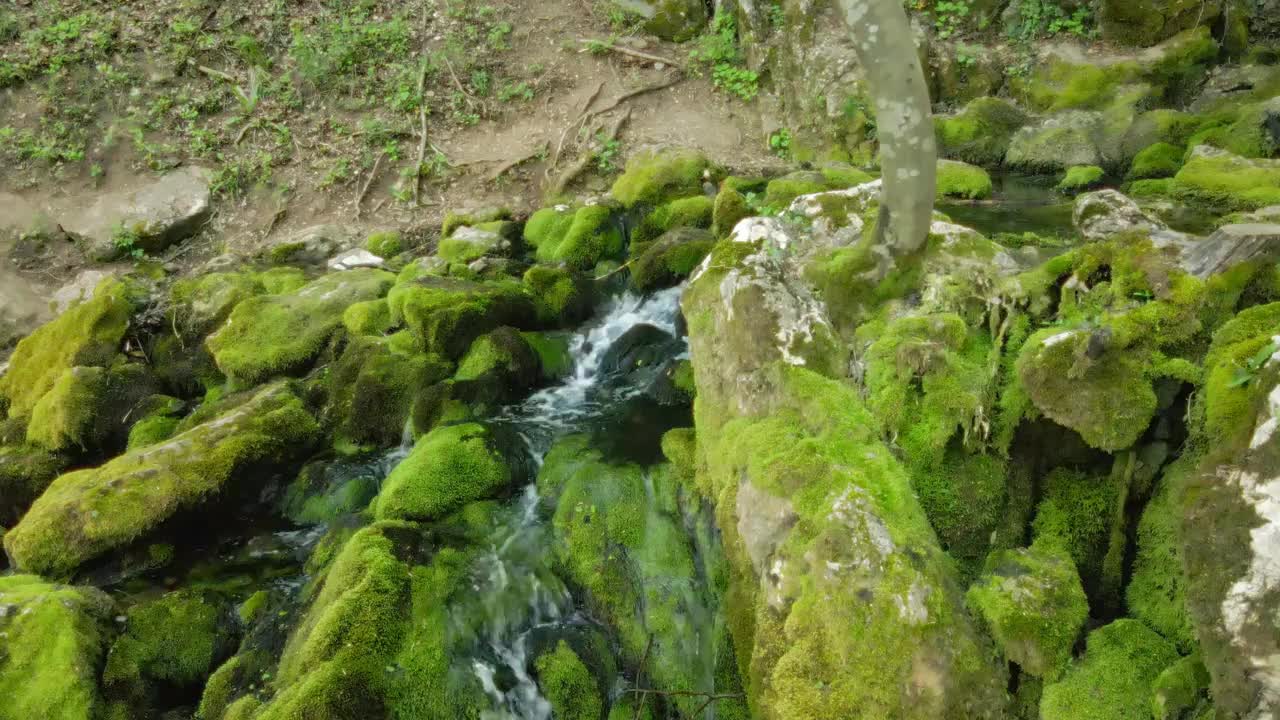 塞尔维亚森林里，水从长满青苔的岩石上倾泻而下的特写视频素材