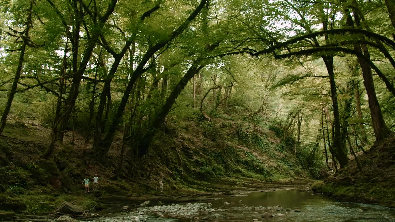 山间涌流。有创造力。河水从高大的绿树上流过，构成了河流，可以看到走路旅行的人。高品质4k画面视频素材