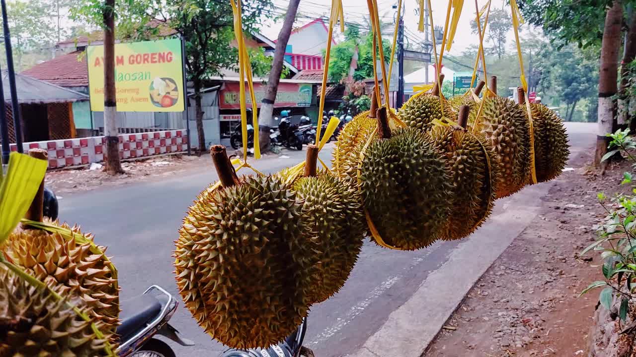 悬挂出售的榴莲视频下载