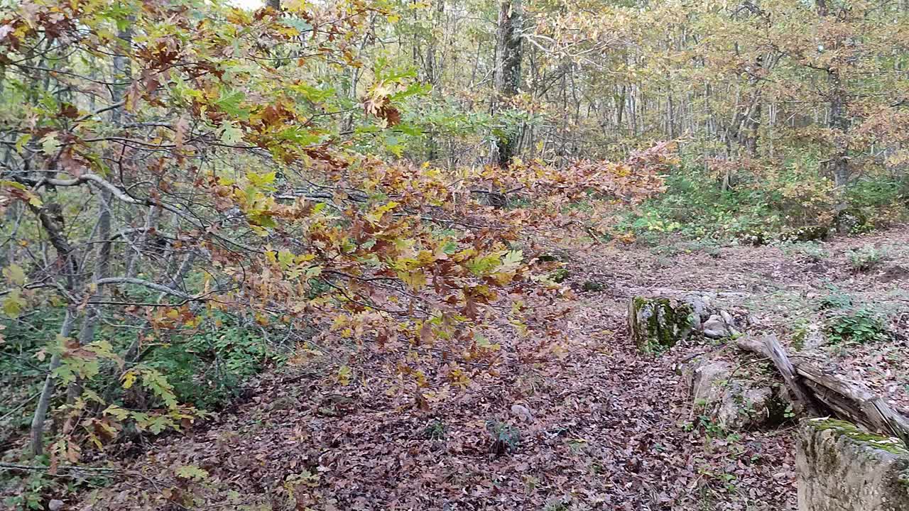 巴拉内洛-瓦伊拉诺山上城市废墟的全景视频素材