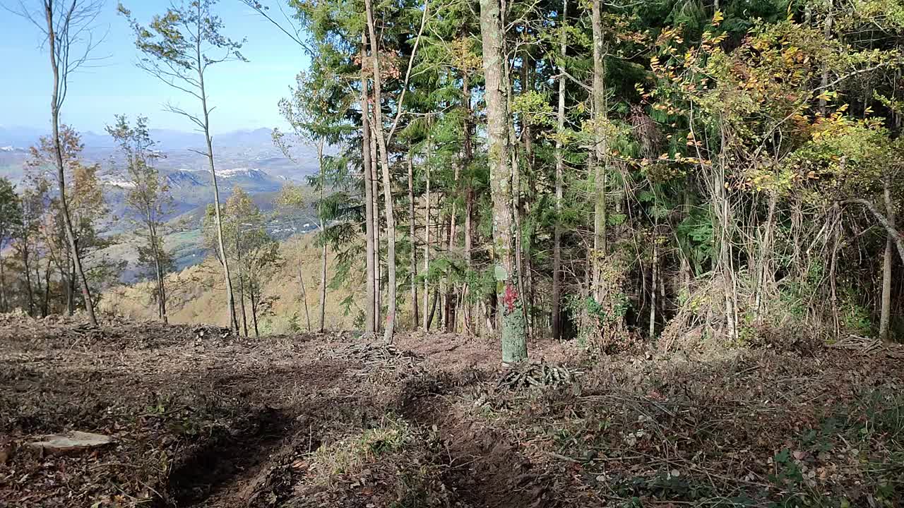 布索-瓦伊拉诺山森林被砍伐的地区视频素材