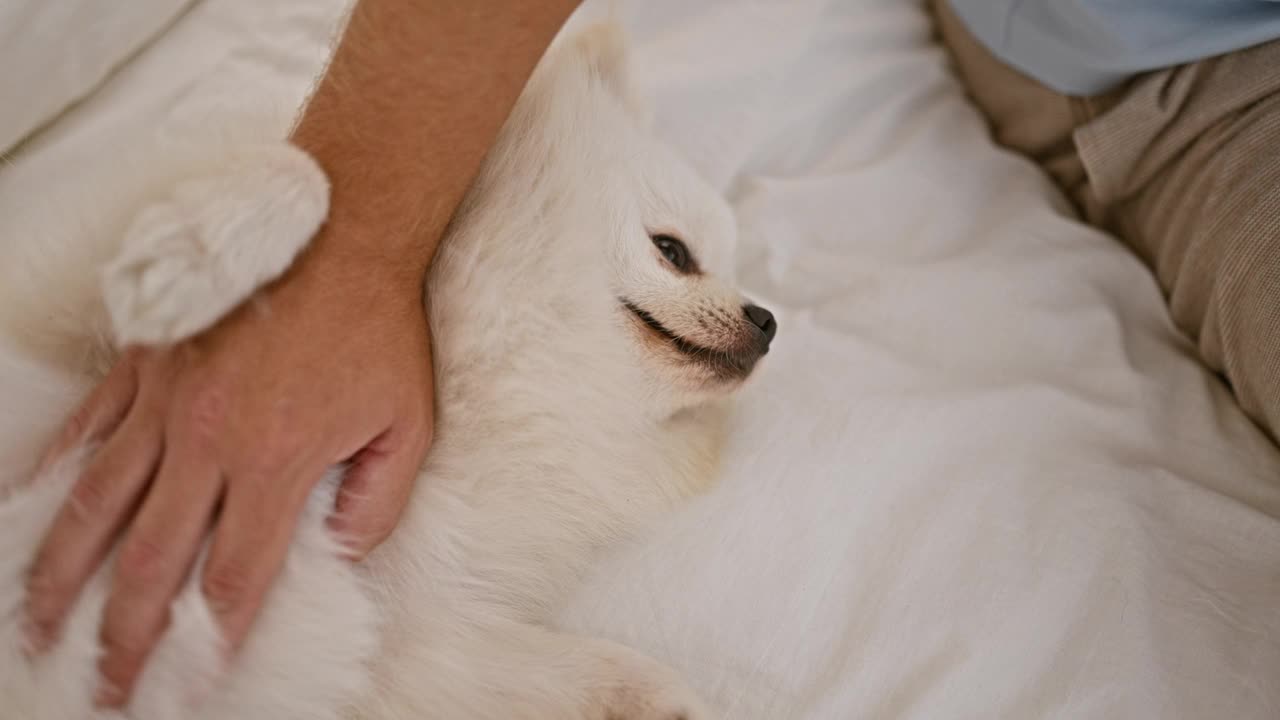 年轻的白人男子带着狗坐在卧室的床上视频素材