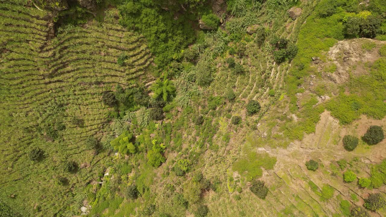 西非佛得角圣安托保罗山谷的梯田俯视图。空中拍摄视频素材