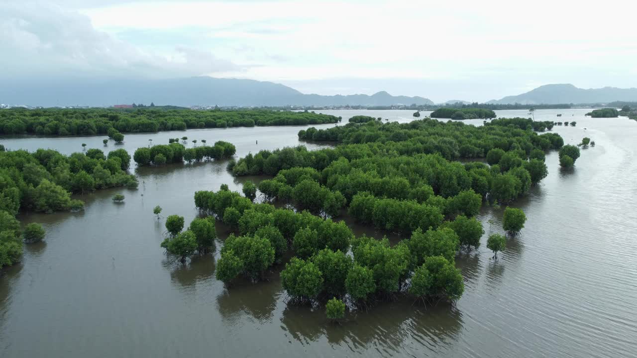 红树林鸟瞰图视频素材