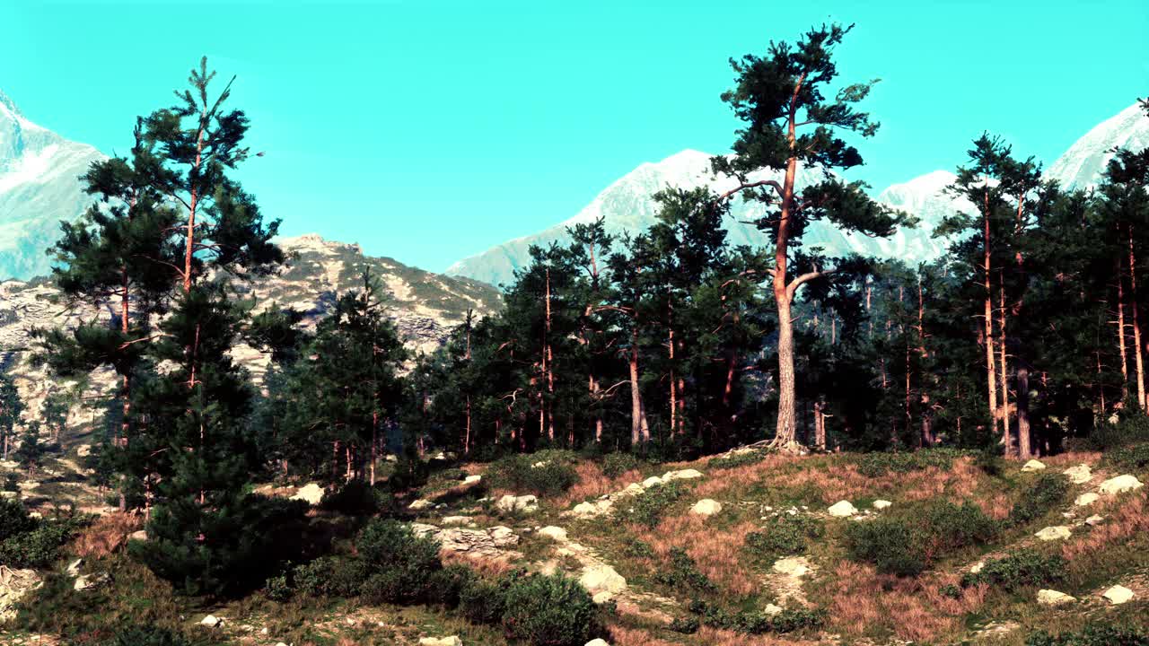 这是一幅宁静的风景，小山上有树，背景是雄伟的山脉视频素材