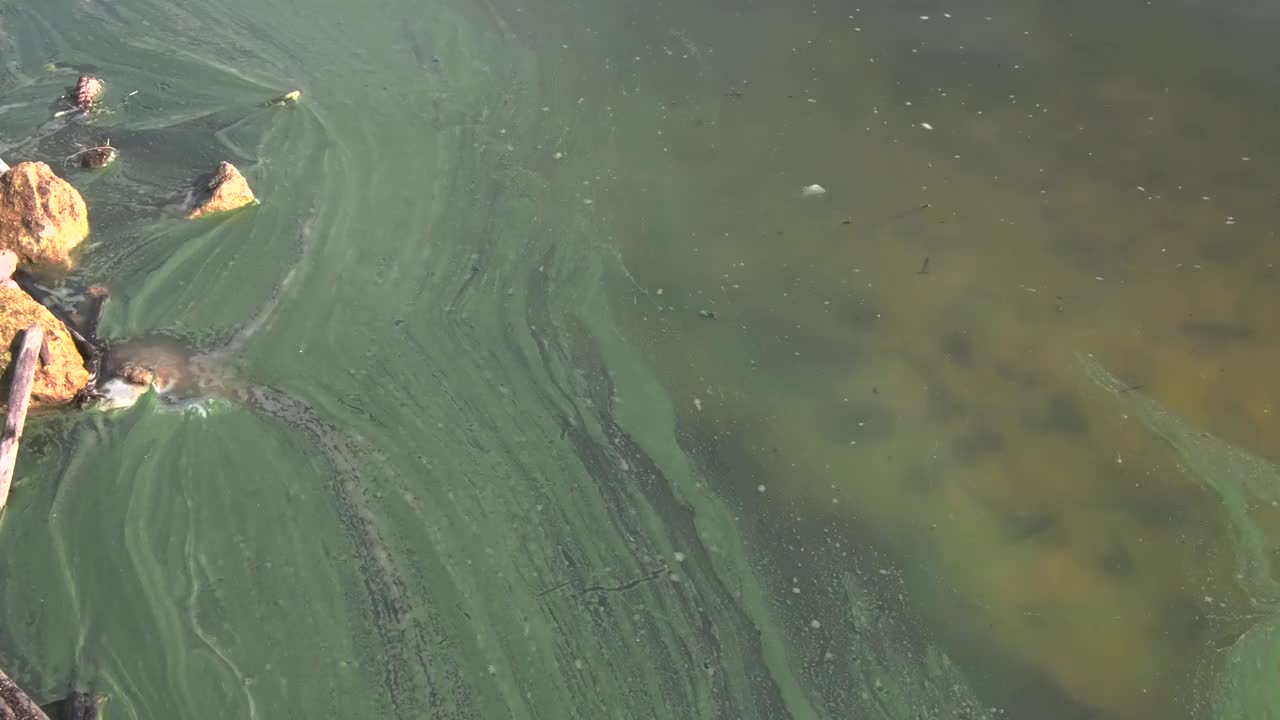 受干旱影响的水库岸边的污水。视频素材