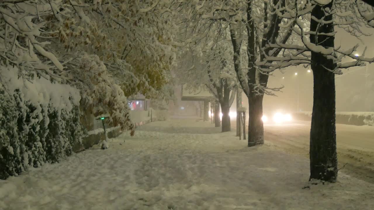 雪下的人行道视频下载