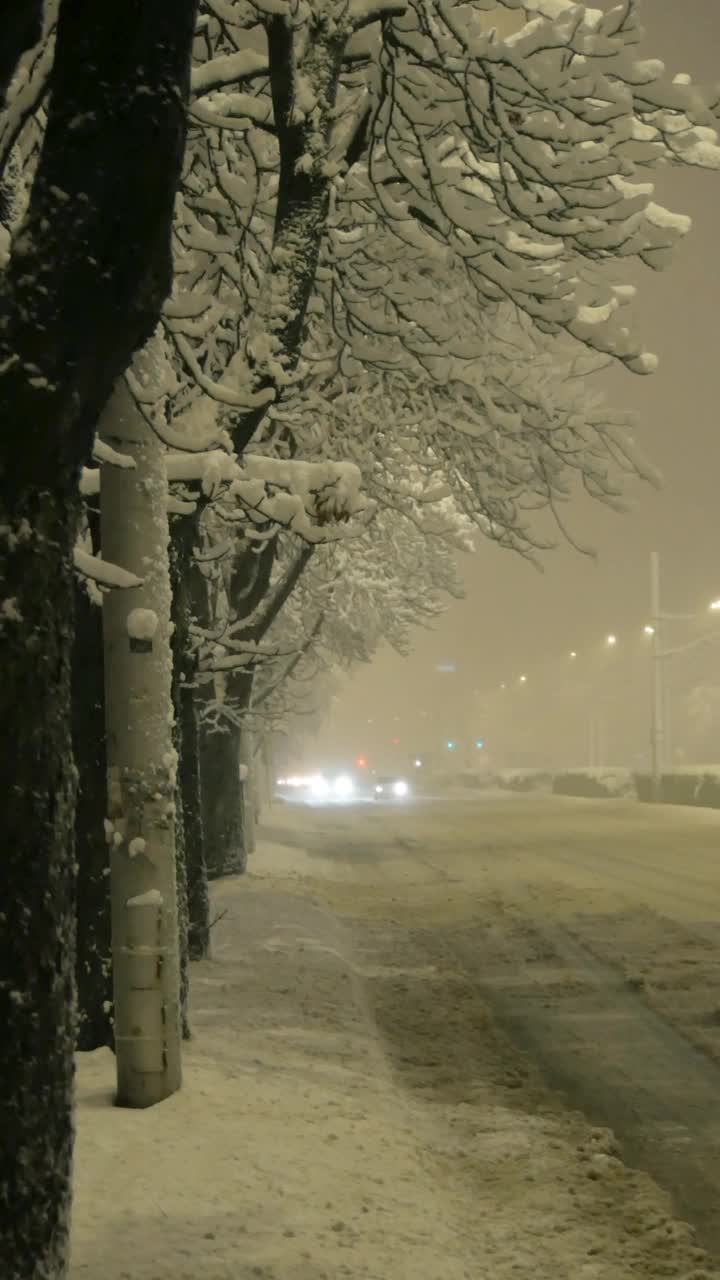 雪下大道视频下载