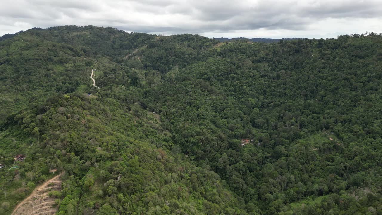 航拍的郁郁葱葱的青山和茂密的森林视频素材