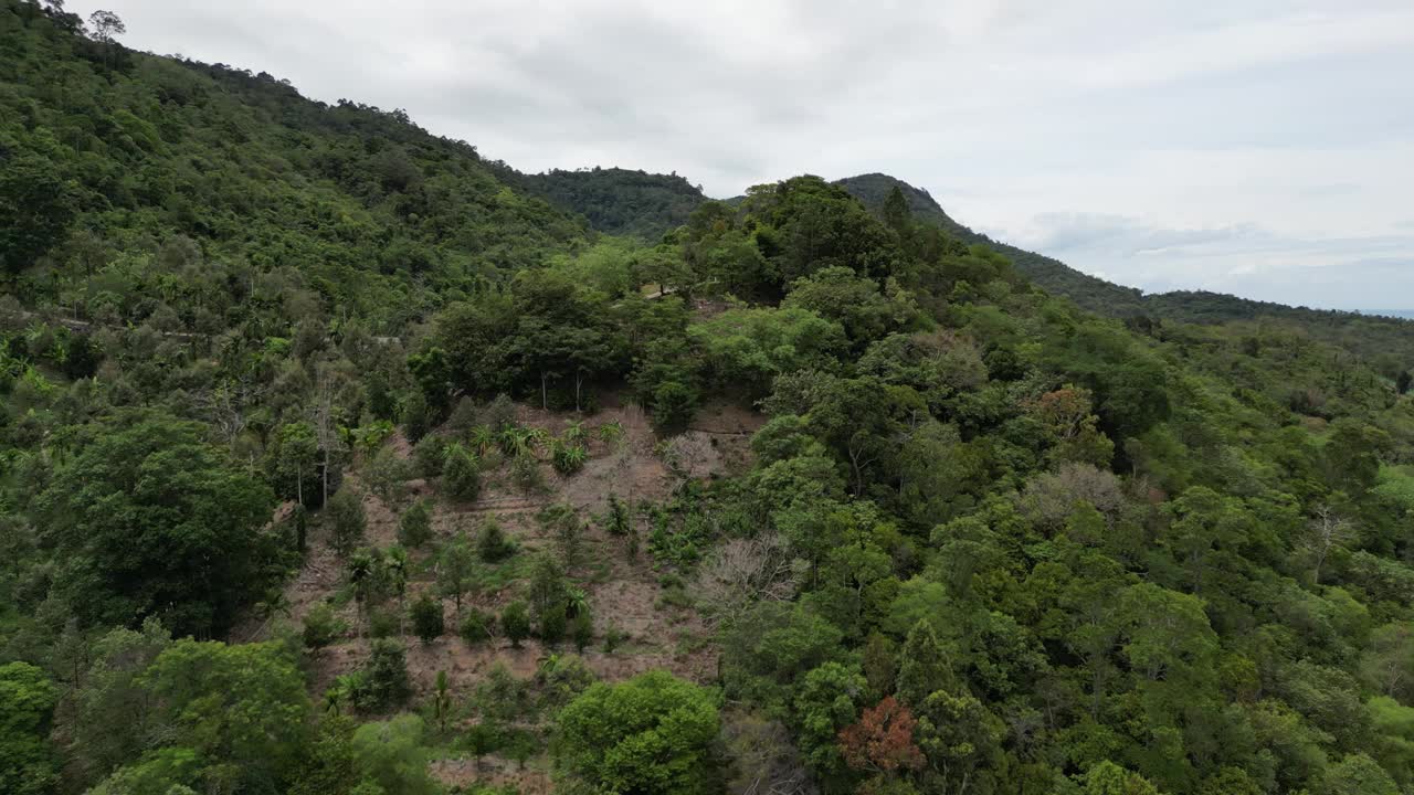 从左到右拍摄的夏威夷茂密的绿色山峰视频素材