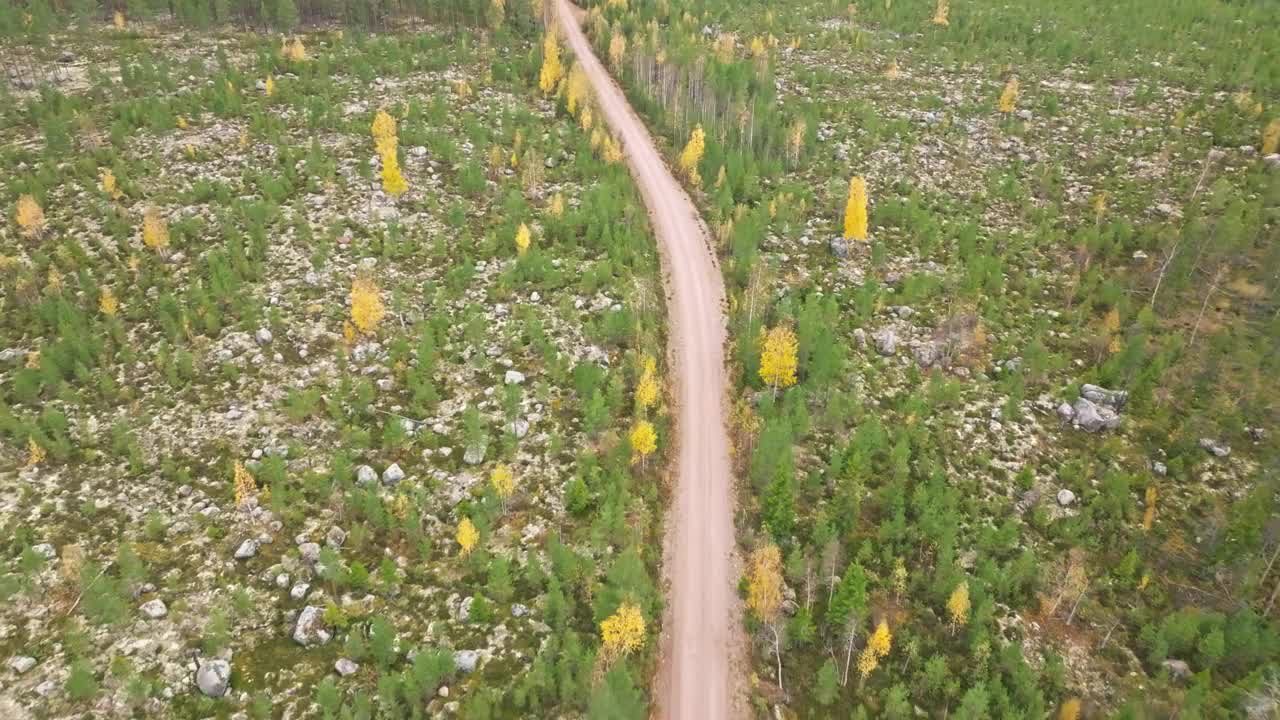 鸟瞰瑞典秋天的冷杉和桦树之间的土路。视频素材