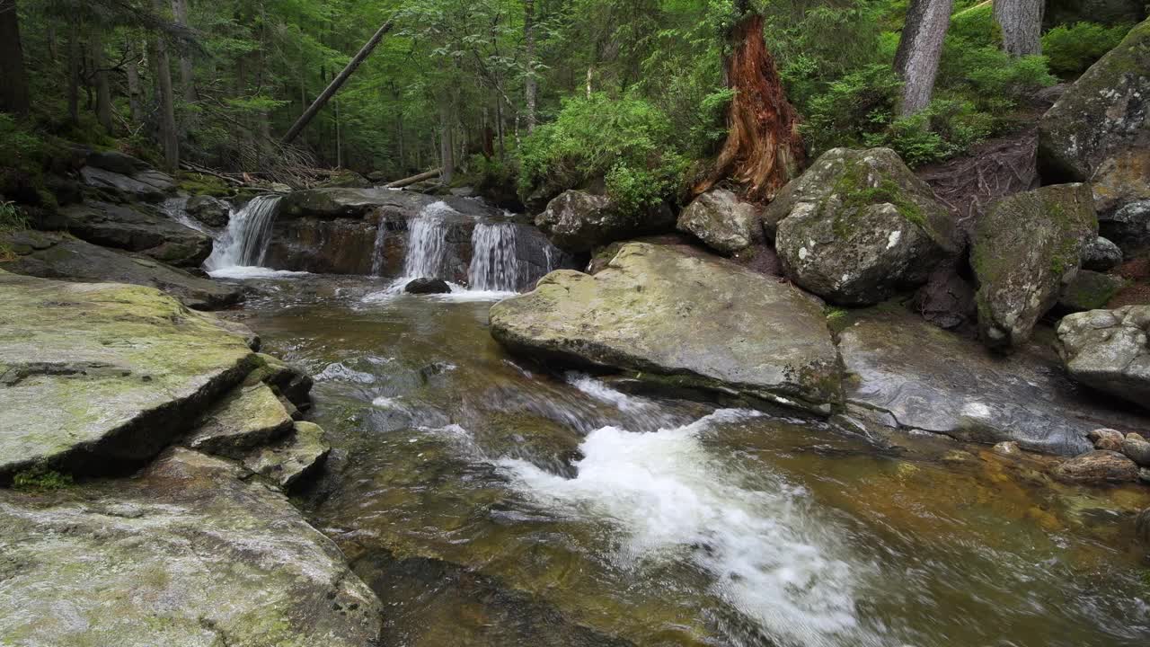 Riesbach河在Rißloch自然保护区。Riesbach, Rißloch, Bodenmais，巴伐利亚森林，下巴伐利亚，下巴伐利亚，巴伐利亚，德国，欧洲。视频下载