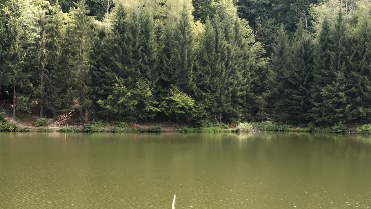 风景如画的湖泊和远处树木繁茂的地区视频素材