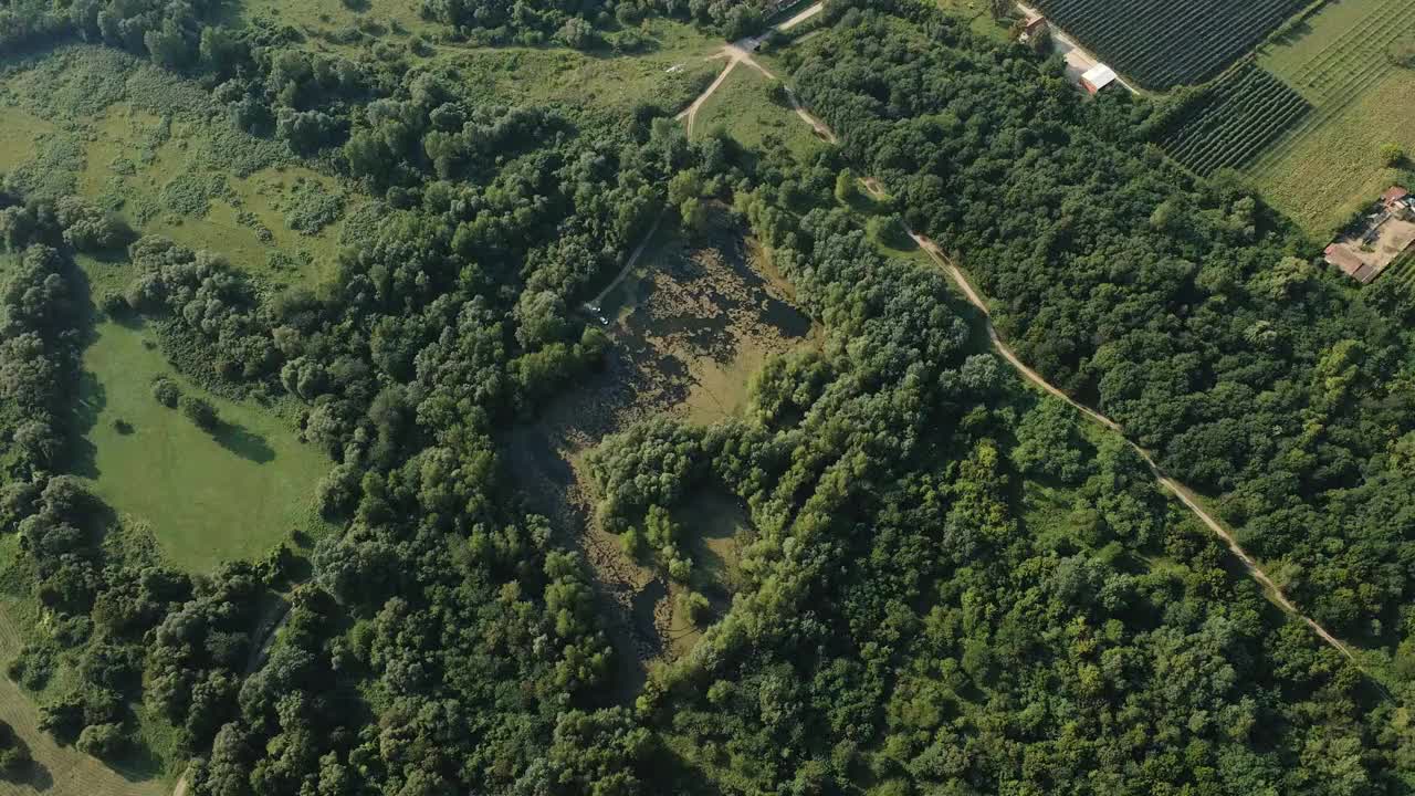 在阳光明媚的日子里，无人机升空捕捉广阔的树林和附近的农田视频素材