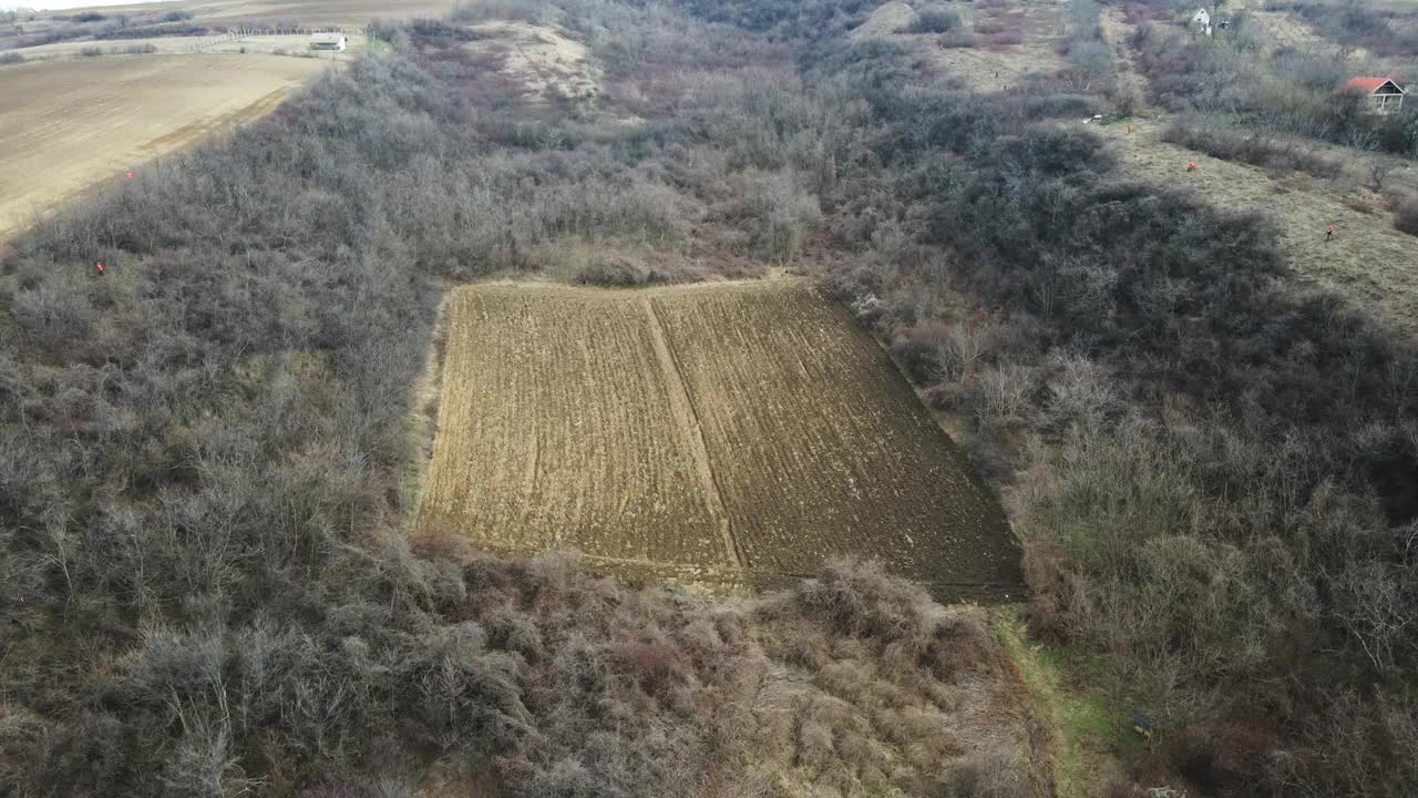 飞过树林里的空地，小黑狗跑了过去视频素材