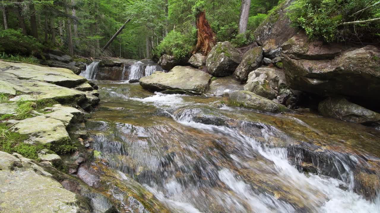 Riesbach河在Rißloch自然保护区。Riesbach, Rißloch, Bodenmais，巴伐利亚森林，下巴伐利亚，下巴伐利亚，巴伐利亚，德国，欧洲。视频下载