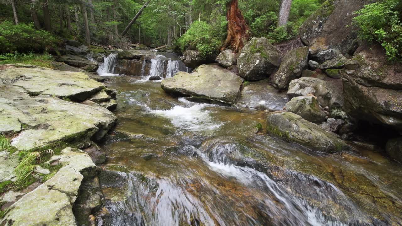 Riesbach河在Rißloch自然保护区。Riesbach, Rißloch, Bodenmais，巴伐利亚森林，下巴伐利亚，下巴伐利亚，巴伐利亚，德国，欧洲。视频下载