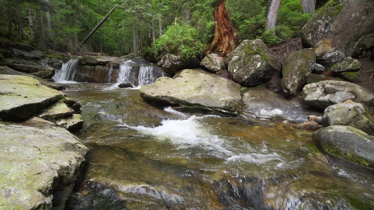 Riesbach河在Rißloch自然保护区。Riesbach, Rißloch, Bodenmais，巴伐利亚森林，下巴伐利亚，下巴伐利亚，巴伐利亚，德国，欧洲。视频下载