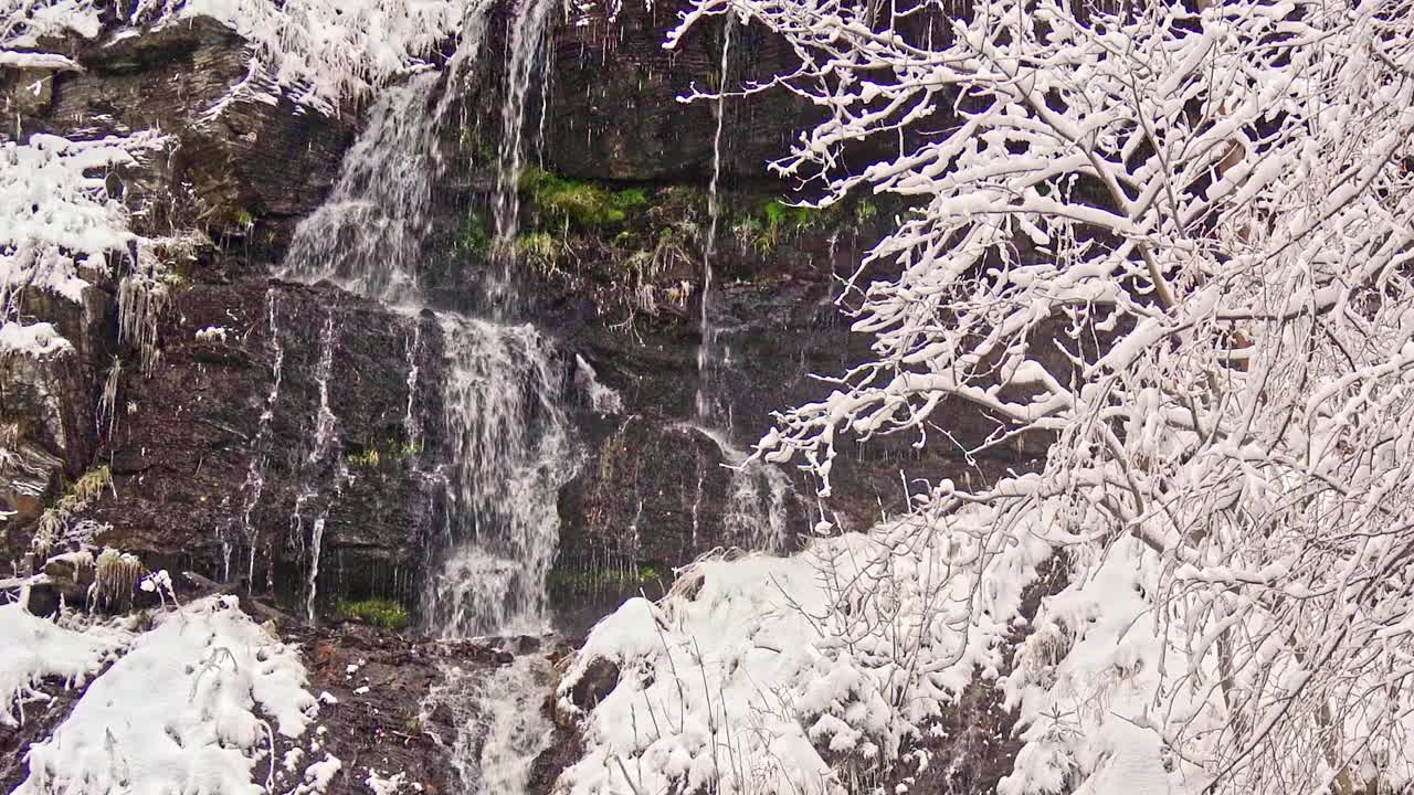 大雪过后哈茨山脉的Romkerhaller瀑布，细树枝被树上的雪包裹着视频下载
