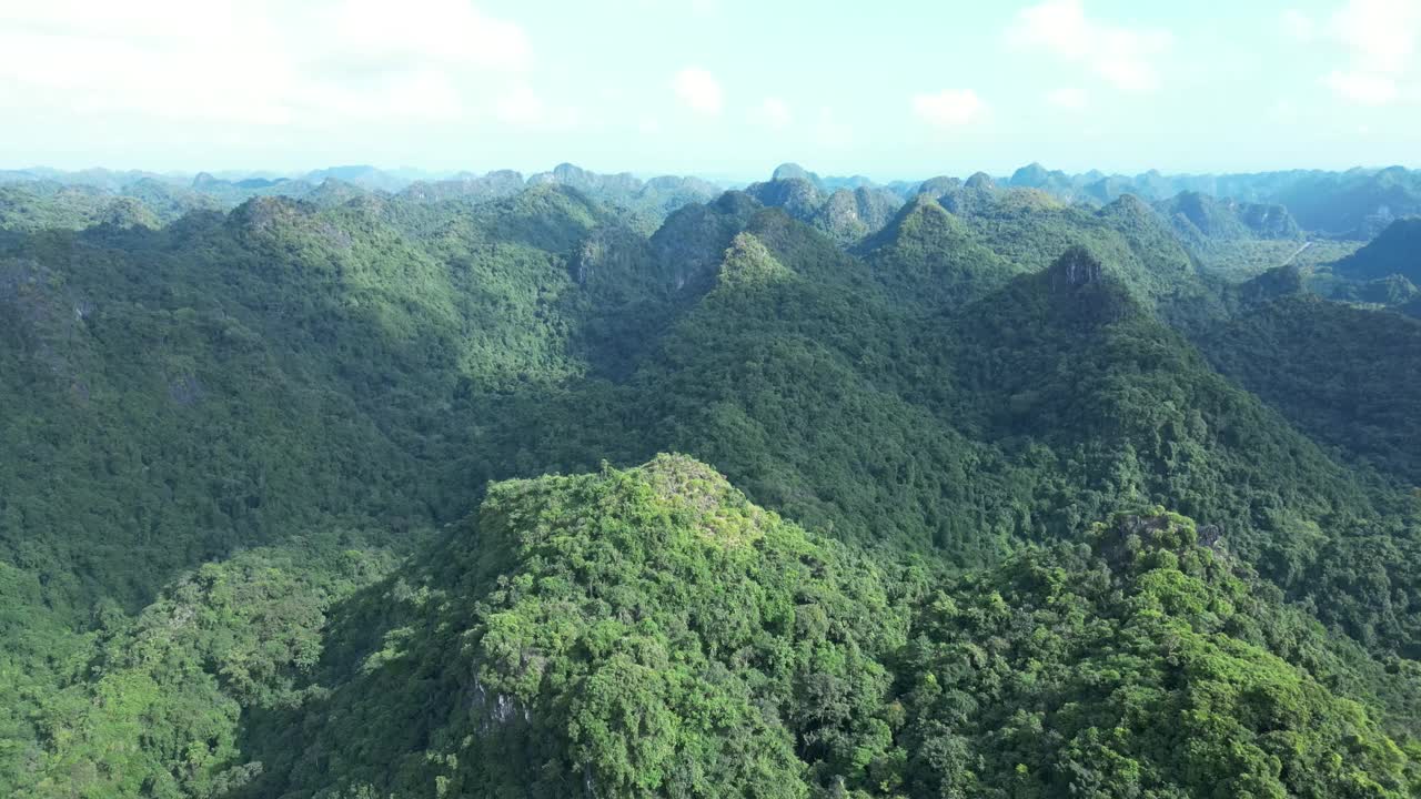 无人机拍摄的绿色山林金桥在吉巴岛吉巴国家公园，越南视频素材