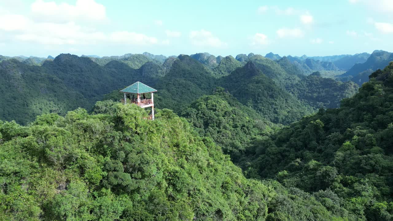 无人机拍摄的越南吉巴国家公园牛林峰的山景视频素材