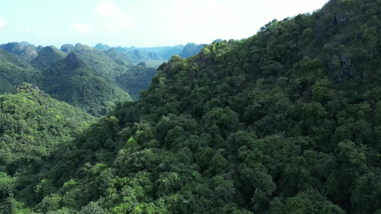 无人机拍摄的金桥森林在一个阳光明媚的日子在猫坝国家公园，猫坝岛，越南视频素材