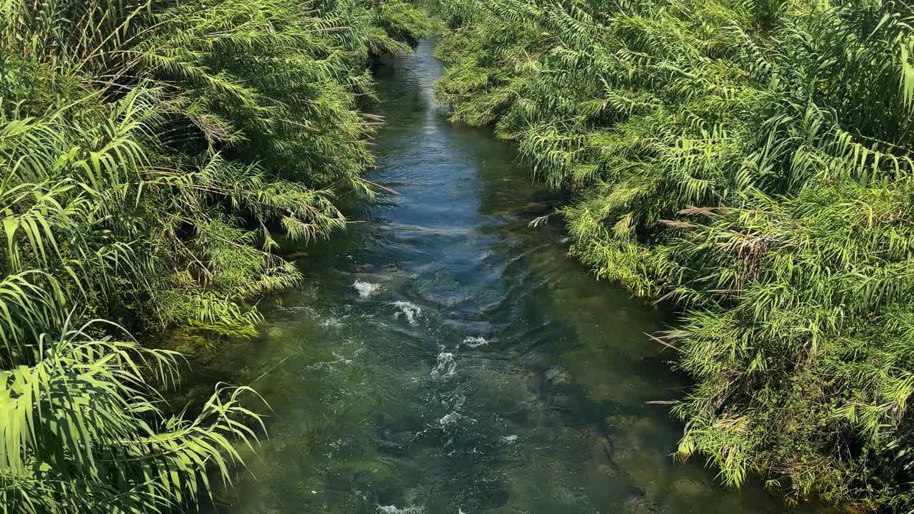 大自然中美丽的河流视频下载