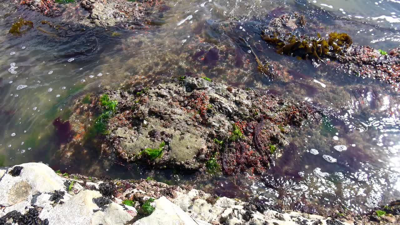 海浪冲击着岩石视频素材