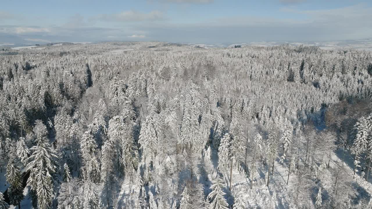 冬季冰雪覆盖的森林。瑞士沃州约拉特山脉的松树。无人机航拍视频素材