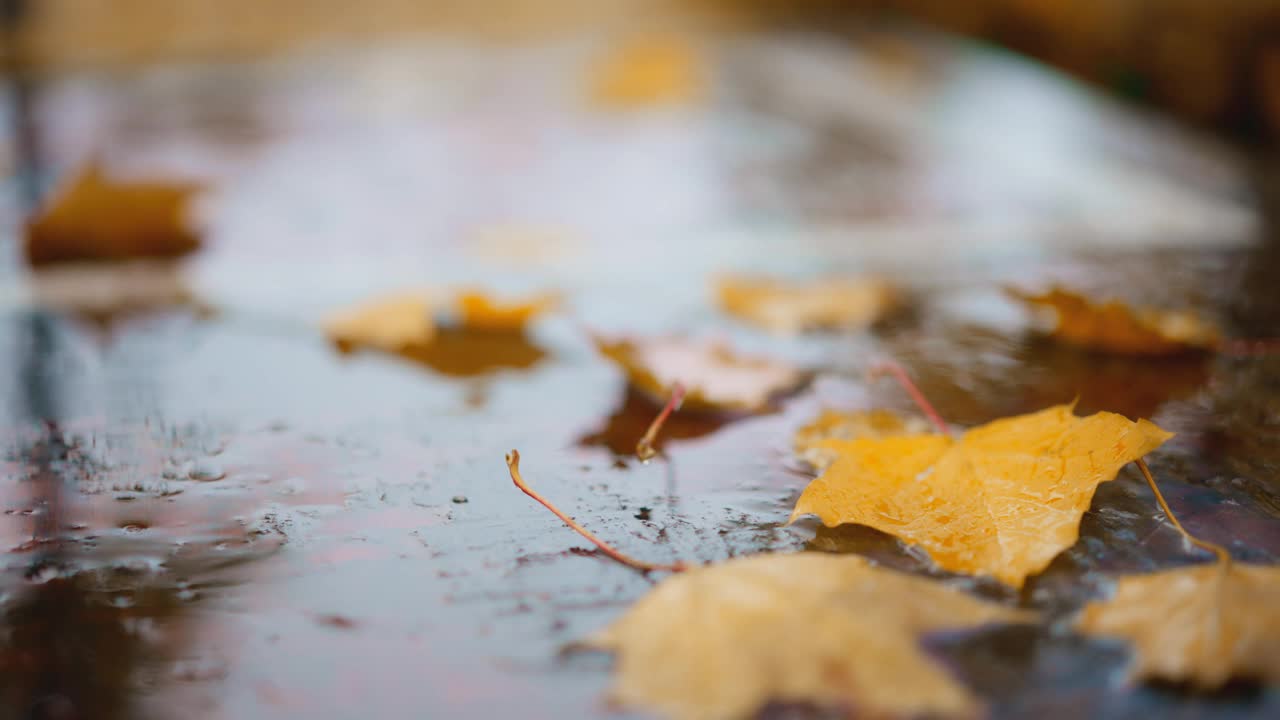 秋雨过后，人行道上堆满了湿落叶。雨滴与街道铺路板和彩色树叶模糊散景抽象4k素材视频素材