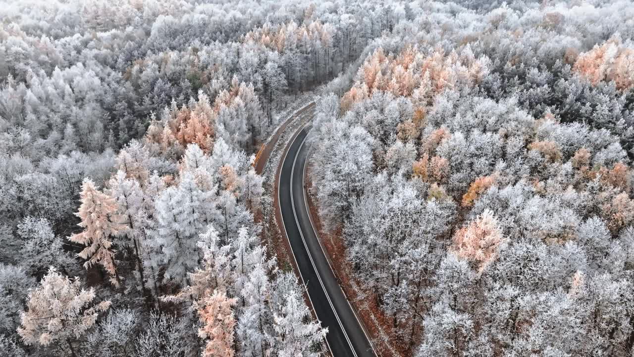 汽车行驶在道路上，穿过冬天结冰的森林与白霜。视频素材