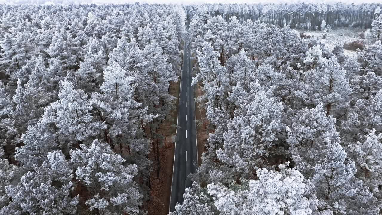 波兰，冬日的柏油路和结霜的森林。视频素材