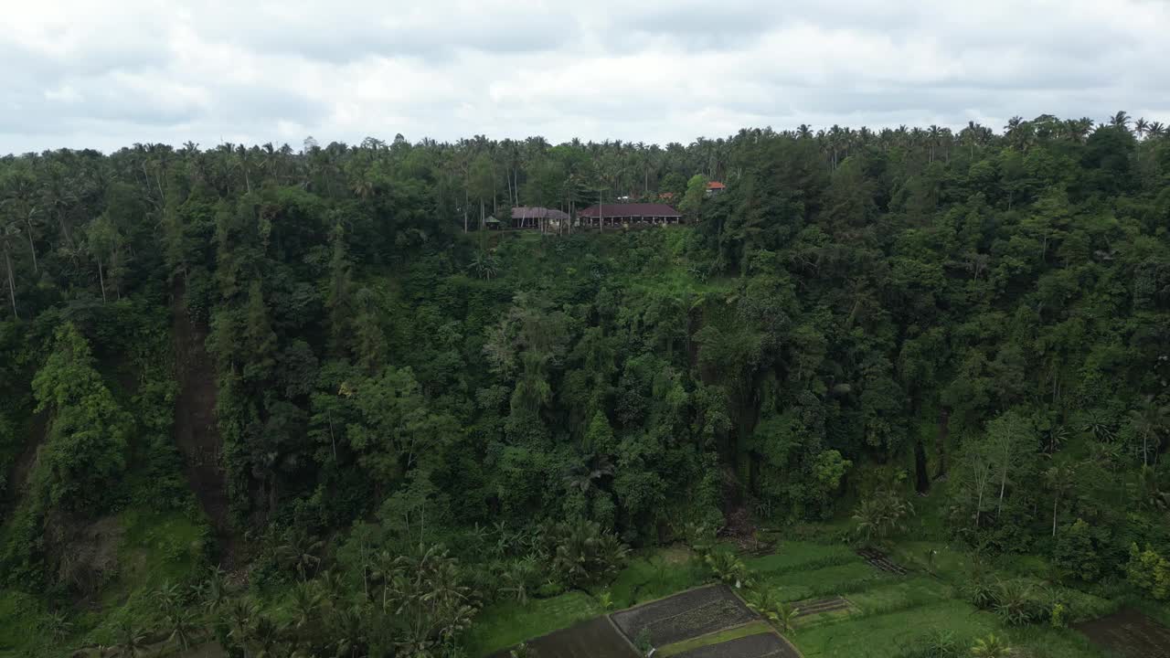 接近椰子树和丛林景观在巴厘岛东部，印度尼西亚。天线。视频素材