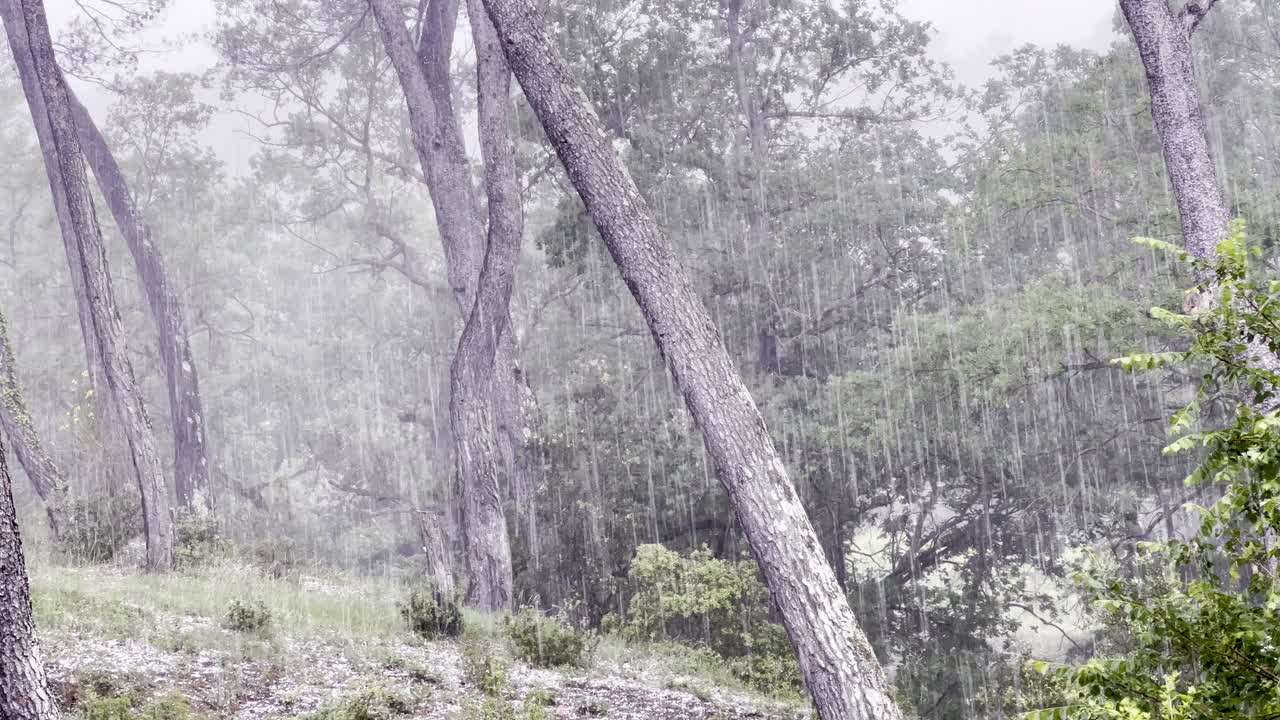 沉重的冰雹视频素材