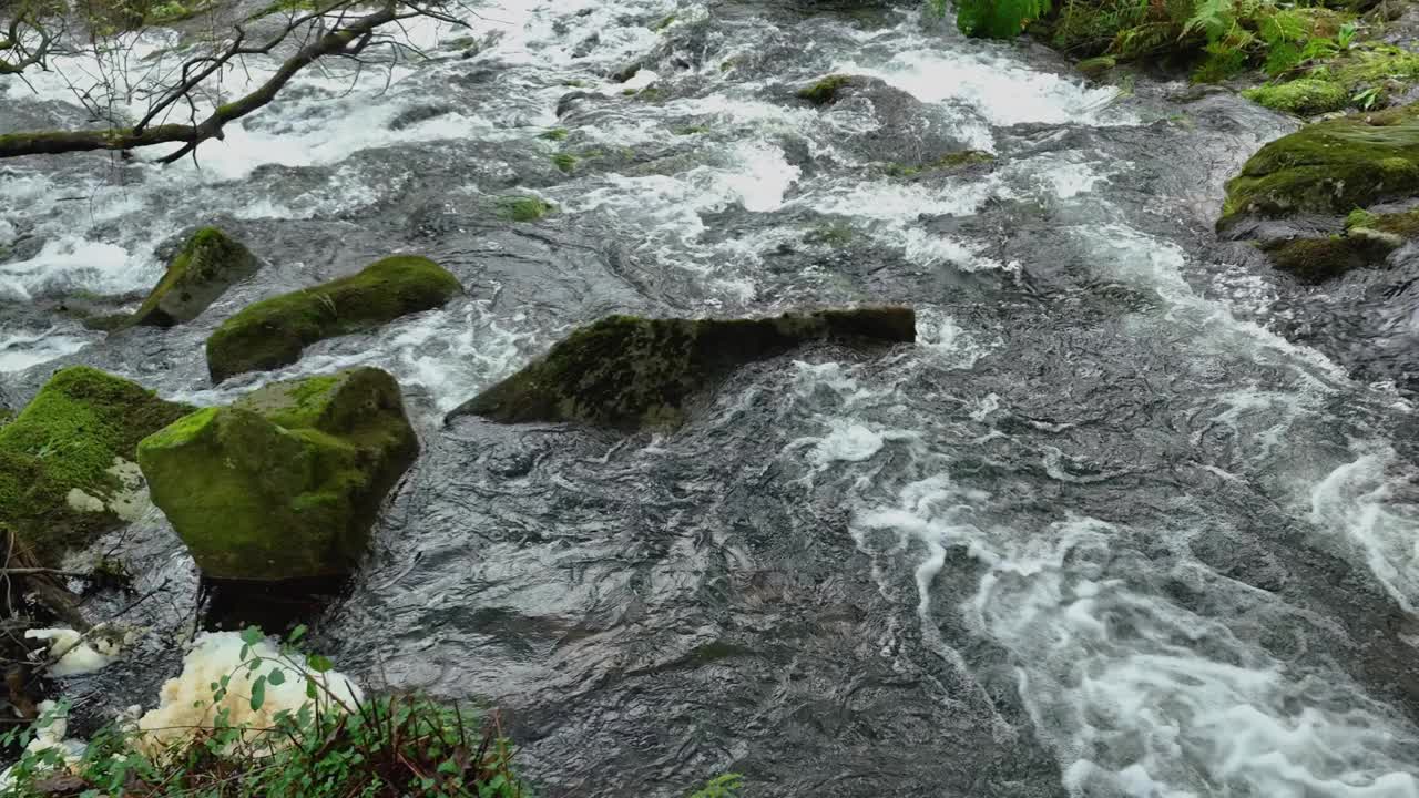 西班牙拉科鲁尼亚帕尔加河雨林中的巨石与湍急的溪流。慢动作视频素材
