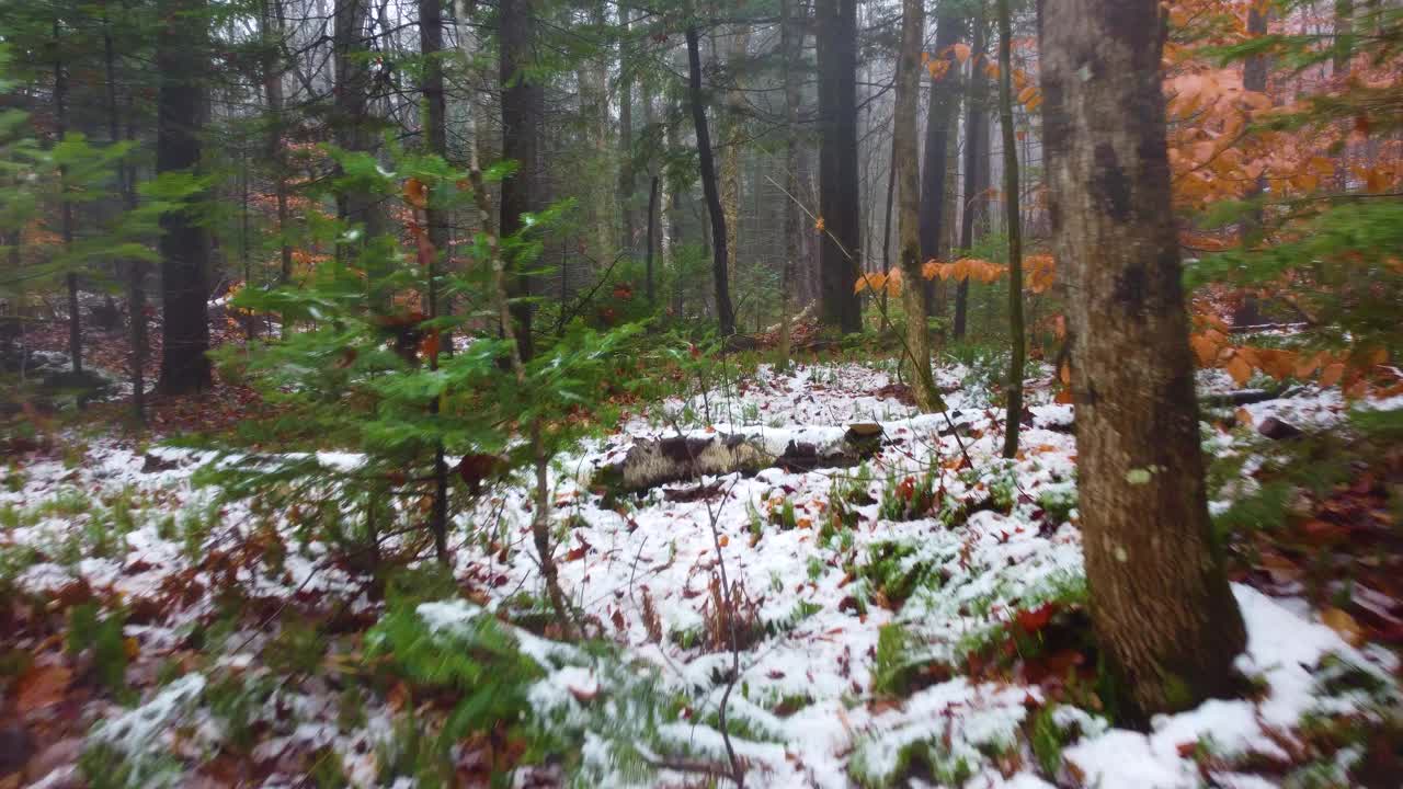 秋天，无人机在美国新罕布什尔州华盛顿山的雪景中拍摄飞行。视频素材