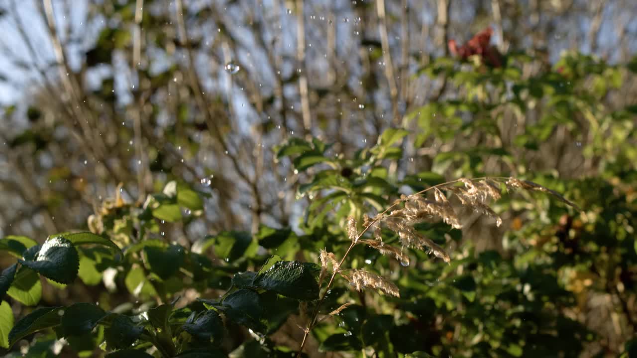 雨滴以超级慢动作落下。视频素材