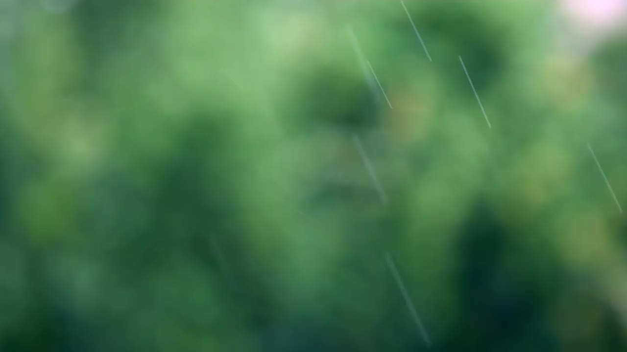 大雨特写，背景是模糊的树木。视频素材