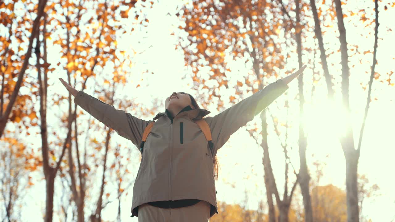 秋天的树林里，女人举起双手视频素材