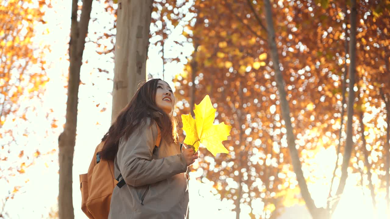 年轻女子走在秋天的树林里视频素材