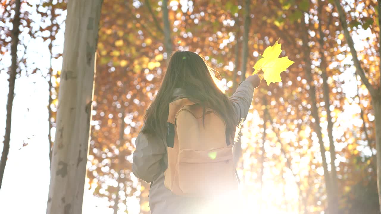 年轻女子走在秋天的树林里视频素材