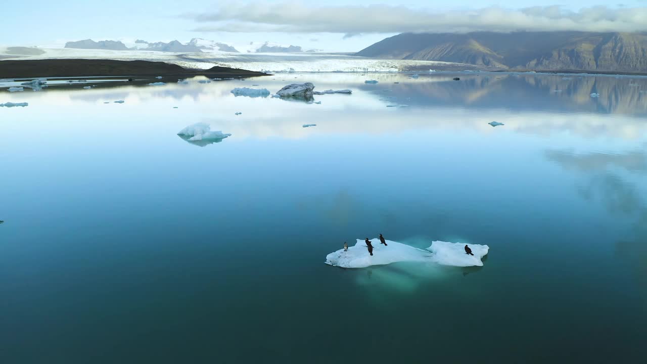 冰岛，Jokulsarlon泻湖，绿松石冰山漂浮在冰岛的冰川泻湖视频素材