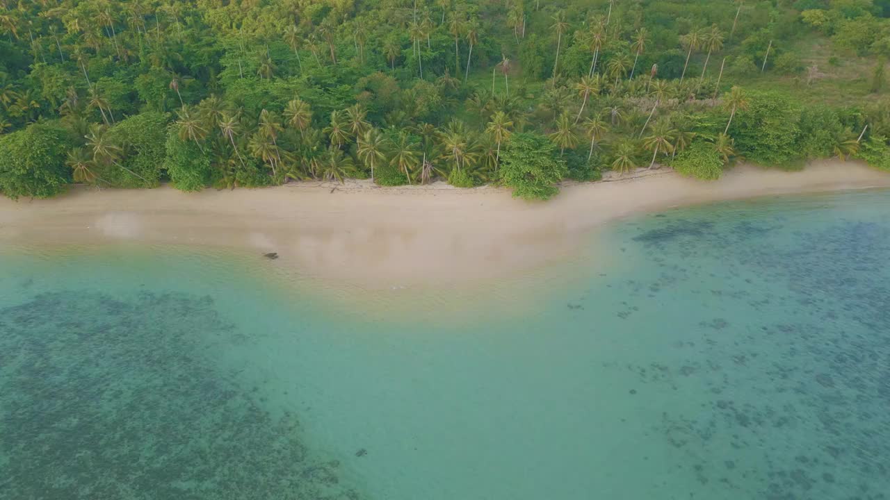 空中海景、沙滩、波浪自然风光、椰树、棕榈树、热带雨林夏季视频素材