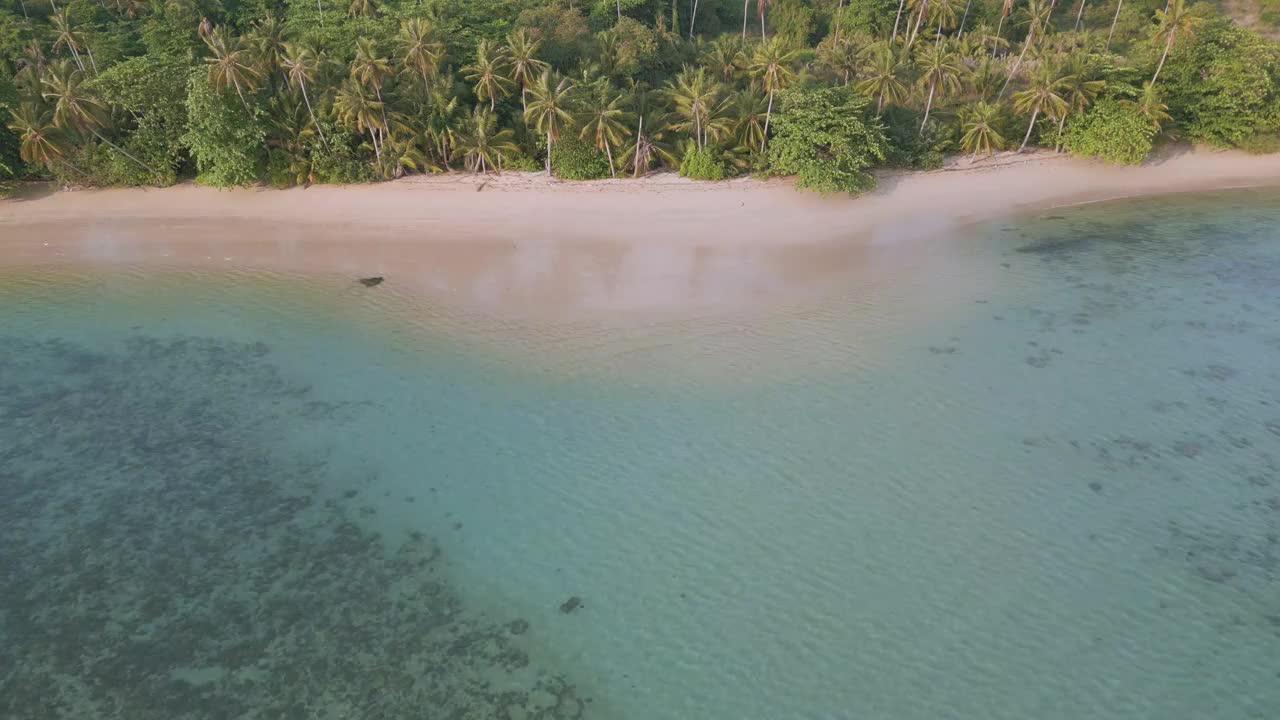 空中海景、沙滩、波浪自然风光、椰树、棕榈树、热带雨林夏季视频素材