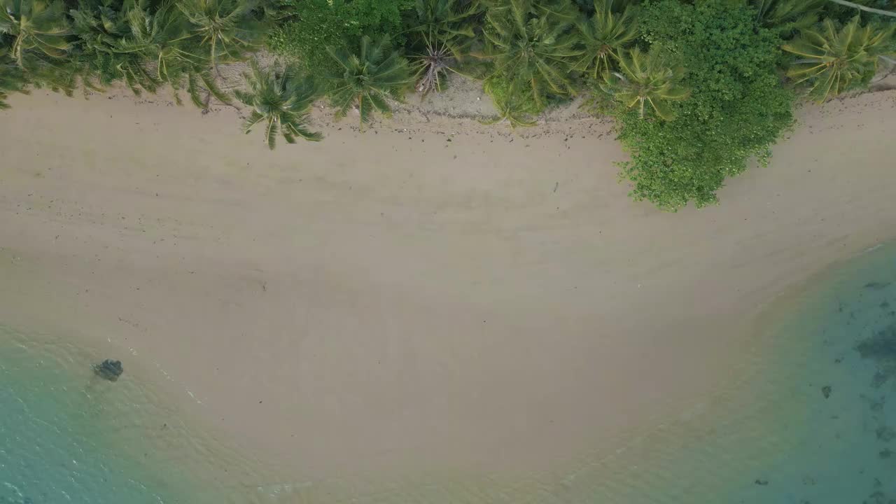 空中海景、沙滩、波浪自然风光、椰树、棕榈树、热带雨林夏季视频素材