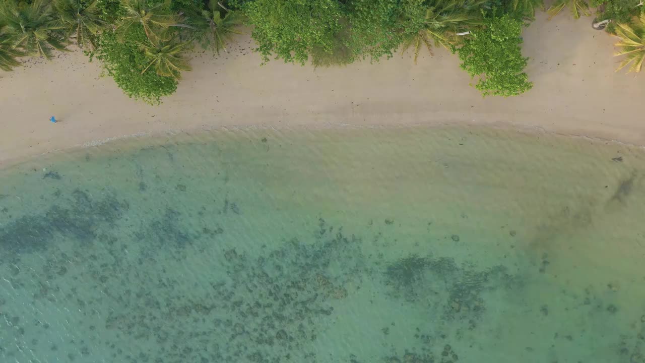 空中海景、沙滩、波浪自然风光、椰树、棕榈树、热带雨林夏季视频素材