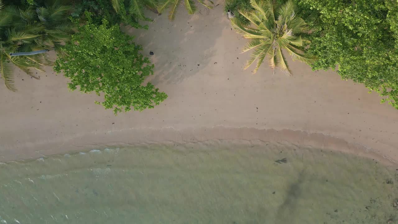 空中海景、沙滩、波浪自然风光、椰树、棕榈树、热带雨林夏季视频素材